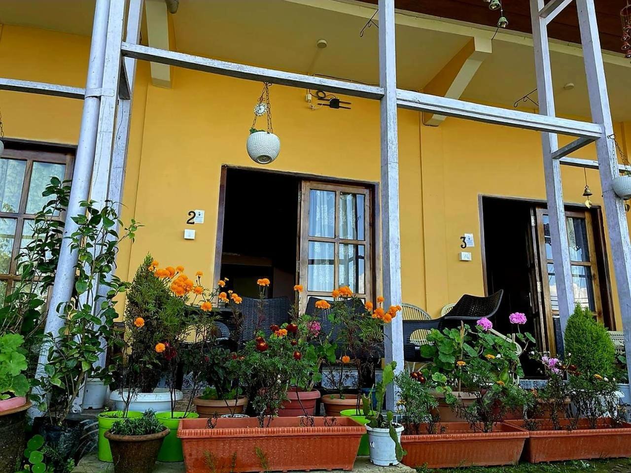 Darjeeling Bnb Bagian luar foto